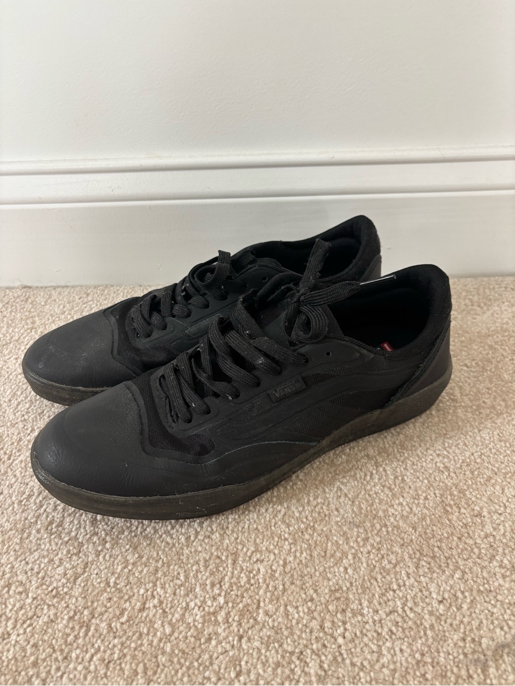 Vans Men's Black Low-Top Skate Sneakers